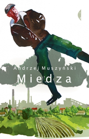 Miedza