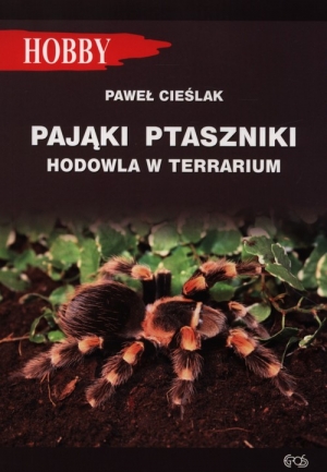 Pająki ptaszniki hodowla w terrarium