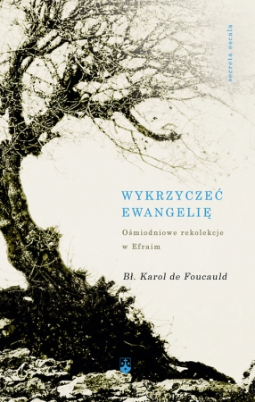 Wykrzyczeć Ewangelię Ośmiodniowe rekolekcje w Efraim