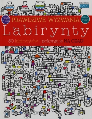 Prawdziwe wyzwania Labirynty 80 labiryntów pokonaj je na czas