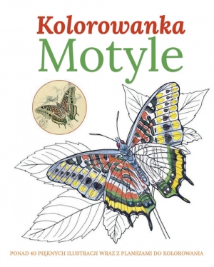 Motyle Kolorowanka