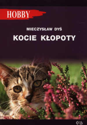 Kocie kłopoty