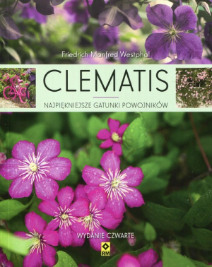 Clematis Najpiękniejsze gatunki powojników