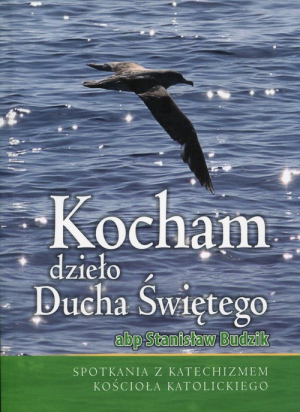 Kocham dzieło Ducha Świętego Spotkania z Katechizmem Kościoła Katolickiego