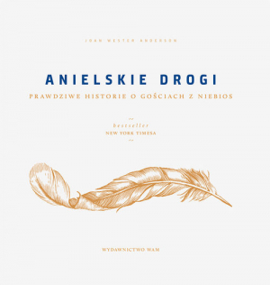 Anielskie drogi Prawdziwe historie o gościach z niebios