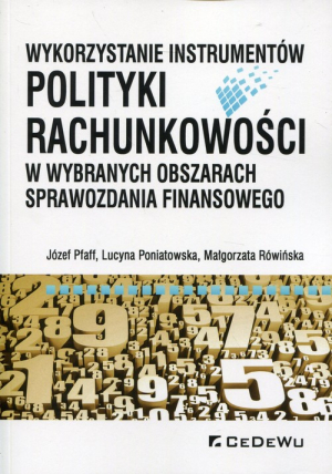 Wykorzystanie instrumentów polityki rachunkowości w wybranych obszarach sprawozdania finansowego