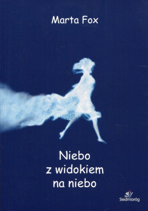 Niebo z widokiem na niebo