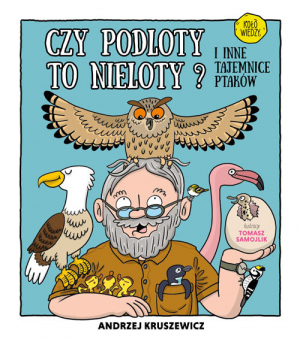 Czy podloty to nieloty I inne tajemnice ptaków