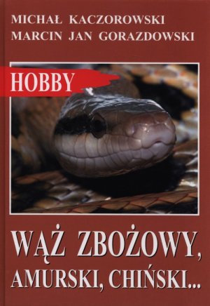 Wąż zbożowy, amurski, chiński…