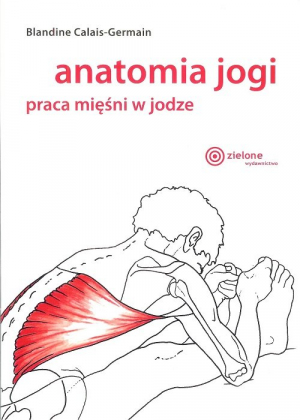 Anatomia jogi praca mięśni w jodze