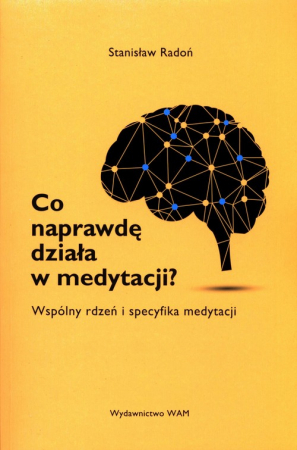 Co naprawdę działa w medytacji? Wspólny rdzeń i specyfika medytacji