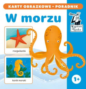 Kapitan Nauka W morzu karty obrazkowe + poradnik W morzu (karty obrazkowe + poradnik)