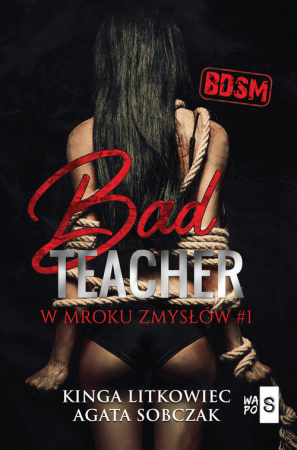 Bad Teacher W mroku zmysłów #1