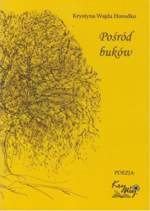 Pośród buków