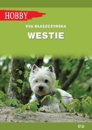 Westie West highland white terrier
