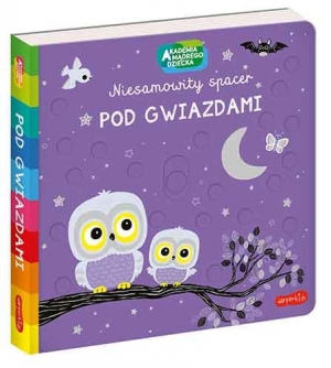 Pod gwiazdami. Akademia mądrego dziecka. Niesamowity spacer
