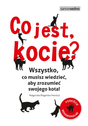 Co jest, kocie? Wszystko, co musisz wiedzieć, aby zrozumieć swojego kota