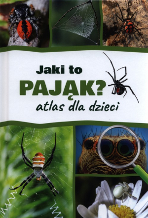 Jaki to pająk? Atlas dla dzieci