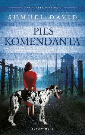 Pies komendata