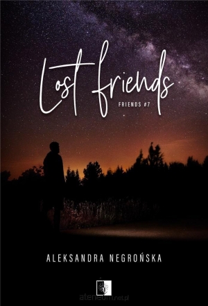 Lost Friends t.7