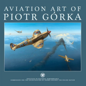 Aviation art of Piotr Górka