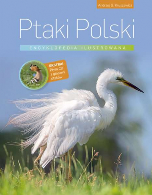 Ptaki polski encyklopedia ilustrowana